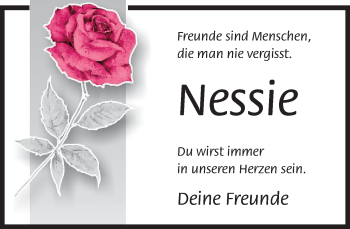 Traueranzeige von Nessie  von Neue Westfälische