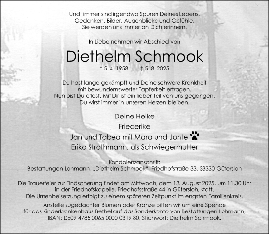 Traueranzeige von Diethelm Schmook von Neue Westfälische und Westfalen-Blatt